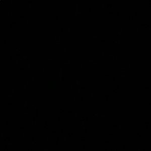 Meet your Posher, Lexi